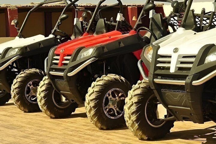 3 Hours Desert Quad Biking and Bedouin Village with Camel Riding 5