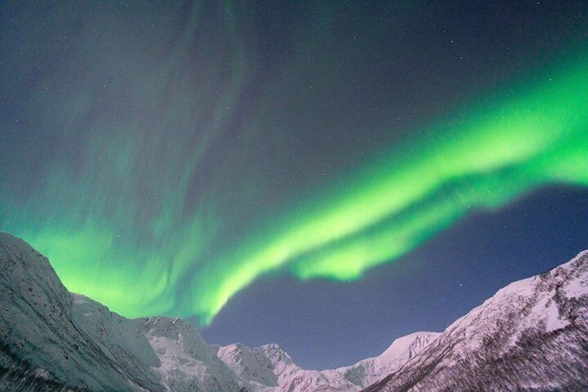 Northern Lights Tour starting from Kvaløya 2