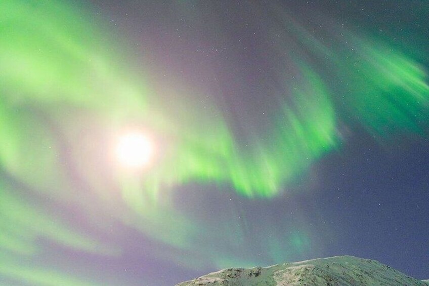 Northern Lights Tour starting from Kvaløya 5