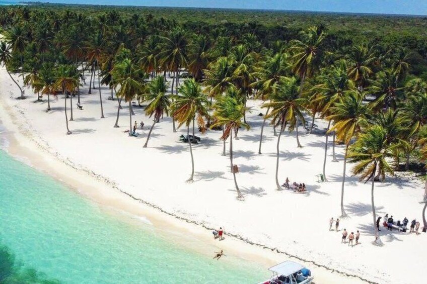 A beach with white sand and palm trees. 4