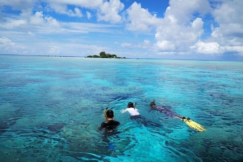 Three people snorkeling in clear turquoise water with a small island in the distance. 1