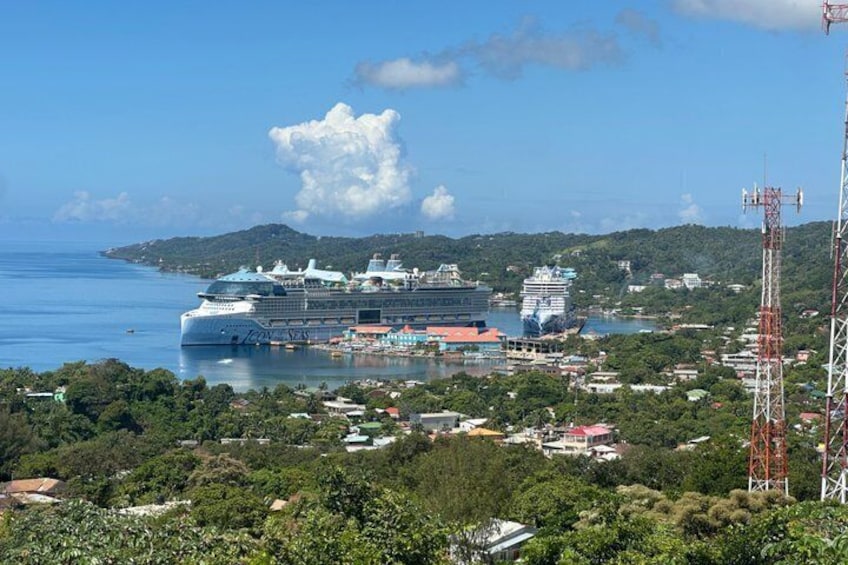 A cruise ship docked at a port with a clear view of the surrounding landscape and a telecommunications tower. 4