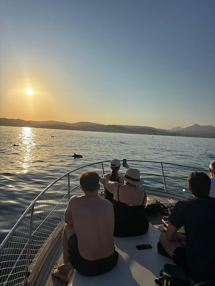 A boat with people observing dolphins in the water during sunset. 5