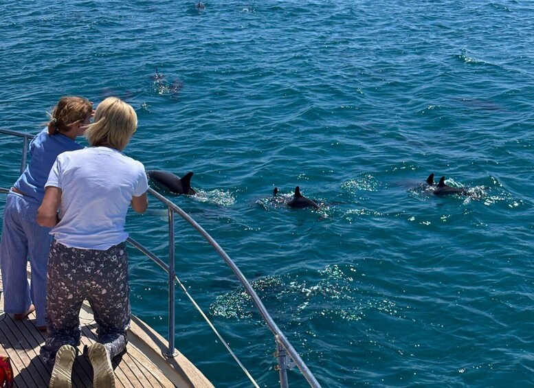 Two people observing dolphins swimming in the ocean from a boat. 1