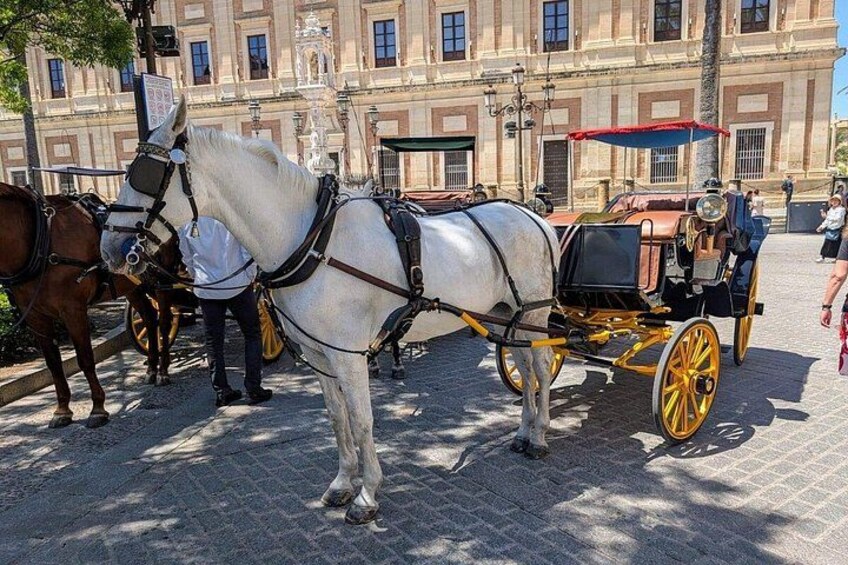 Essence of Seville With Carriage Ride Flamenco and Pick up 5