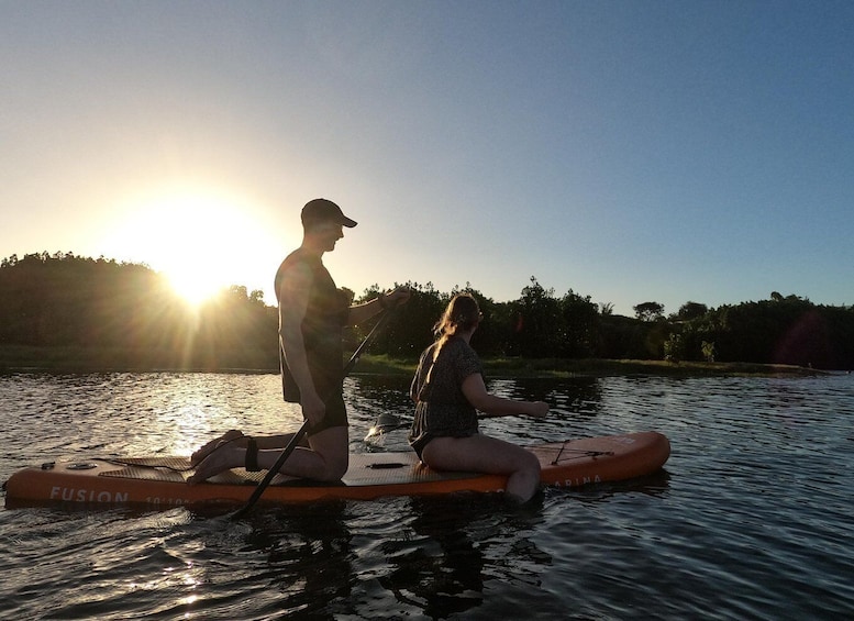 Picture 3 for Activity Paddle boarding on the Tamarin River 2