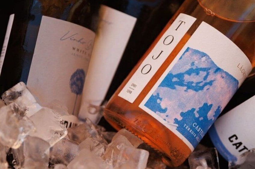 Setúbal Private Wine Experience Two Wineries and Tastings 4