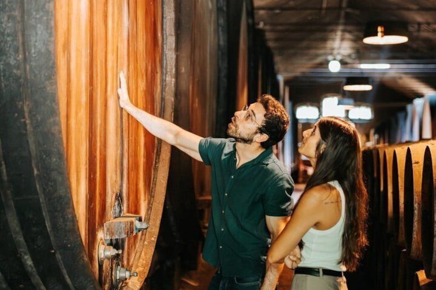 Setúbal Private Wine Experience Two Wineries and Tastings 1