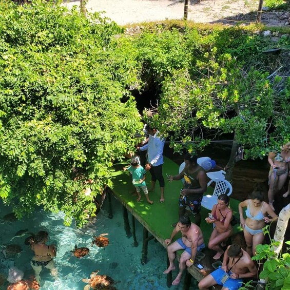 Picture 26 for Activity Zanzibar: Paje Cave & Maalum Cave Swimming Experience 2