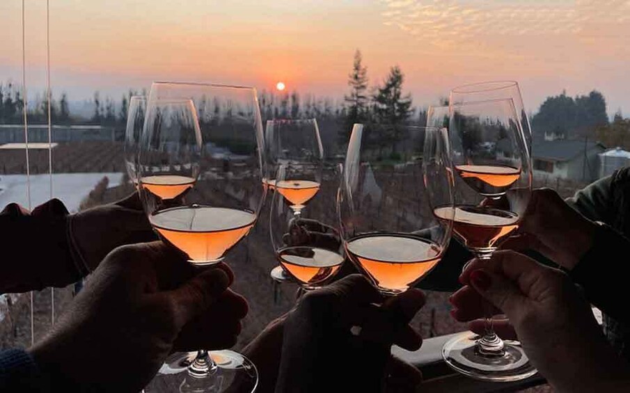 A sunset with four glasses of wine being toasted. 1