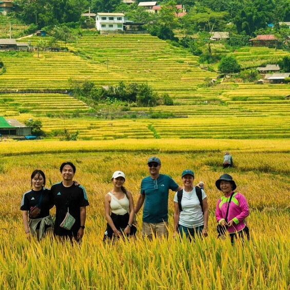 A group of people standing in a rice field with terraced hills in the background. 1