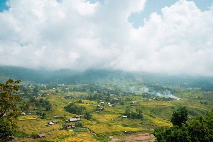 Terraced rice fields, small houses, and a misty mountain backdrop. 5