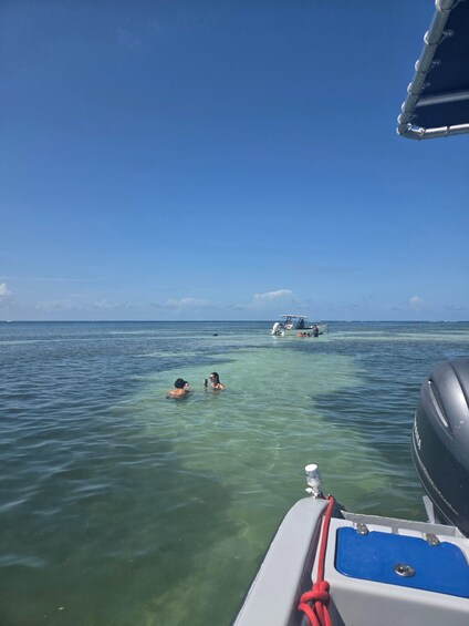 Picture 1 for Activity Tour with Taylor of the white seabeds and the Îlets du François and du Robert 4