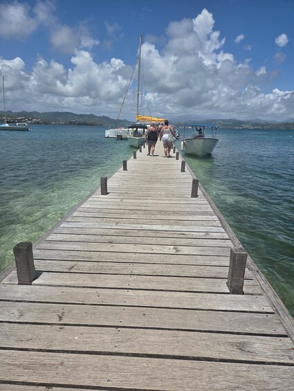 Picture 21 for Activity Tour with Taylor of the white seabeds and the Îlets du François and du Robert 2