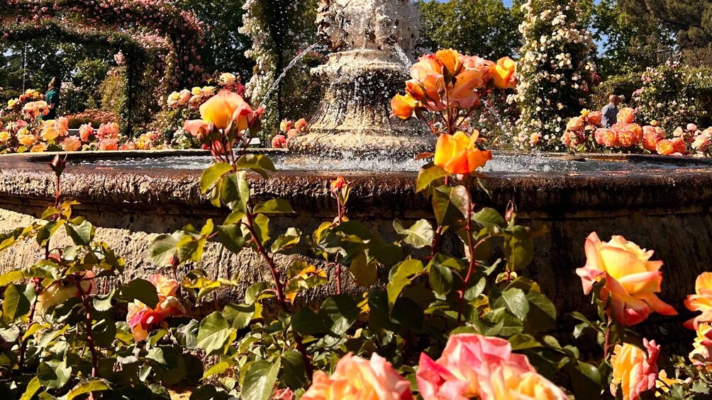 A garden with a fountain and blooming roses. 2