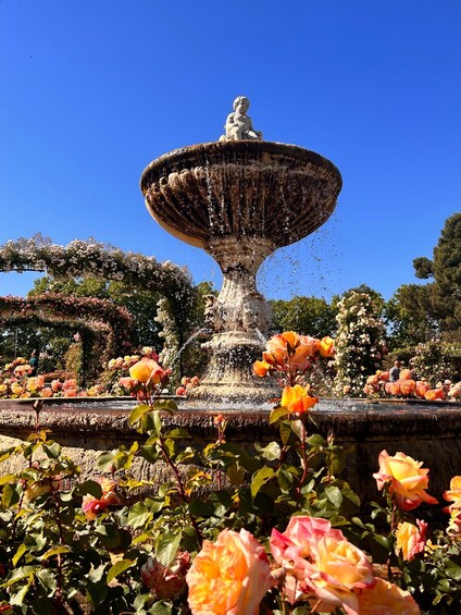 Picture 3 for Activity Madrid: Magic Retiro Park Bike Sightseeing Tour 2