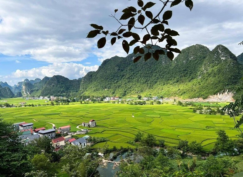 Picture 2 for Activity Hanoi: Ban Gioc Waterfall & Nguom Ngao Cave Tour 5