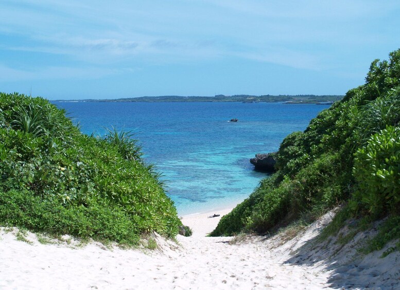 A beach with clear blue water, sandy shores, and lush greenery. 5