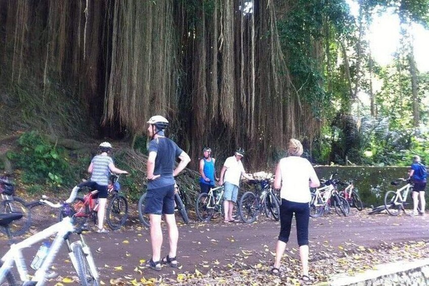 Lombok Biking Tour 3