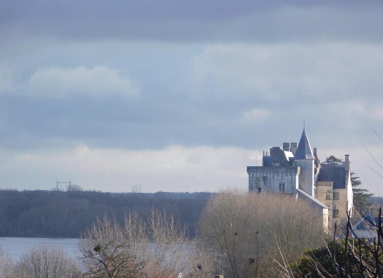 A castle by a lake with a cloudy sky. 1