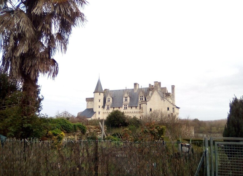 A large castle surrounded by greenery and a fence. 5