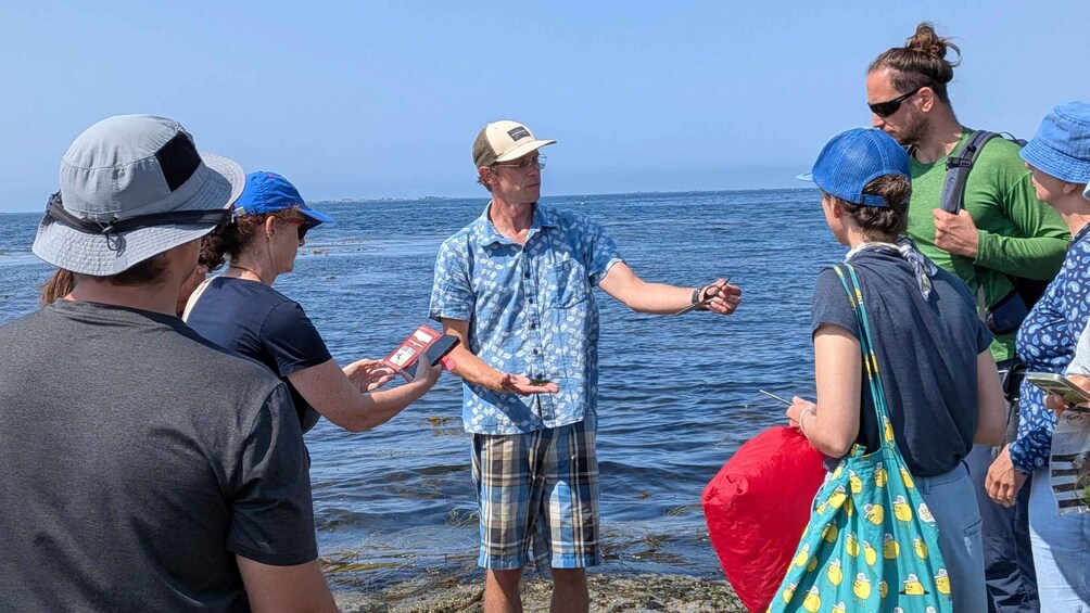 Picture 1 for Activity The World of Edible Seaweed – Coastal Hike & Seaweed Safari in Le Guilvinec 2