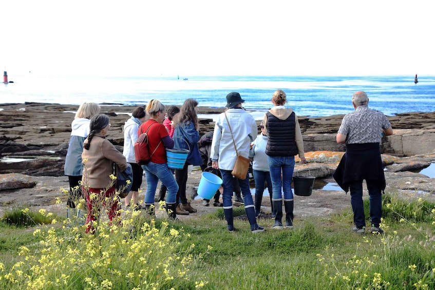 Picture 11 for Activity The World of Edible Seaweed – Coastal Hike & Seaweed Safari in Le Guilvinec 3