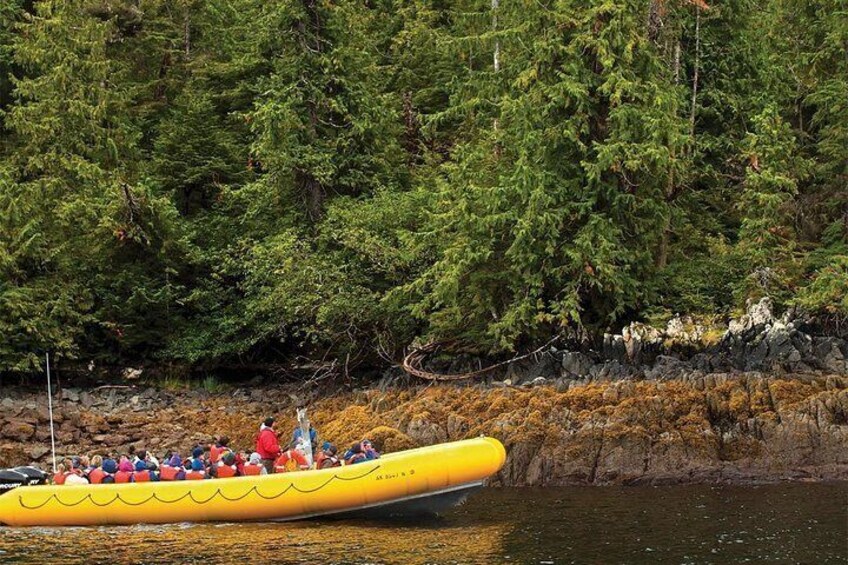Ein gelbes Floß mit Personen auf einem Fluss, umgeben von dichtem Wald. 2