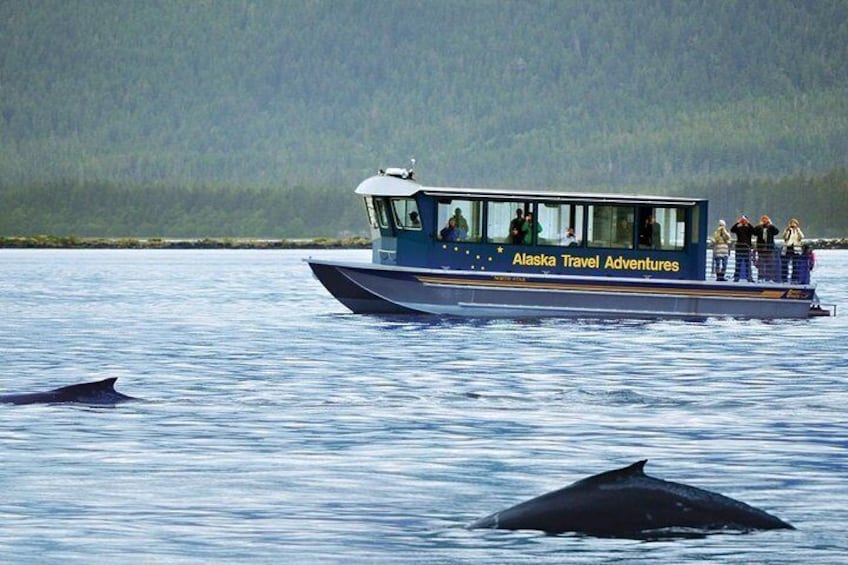 A boat with 'Alaska Travel Adventures' written on it, surrounded by calm water and distant forested hills. 1