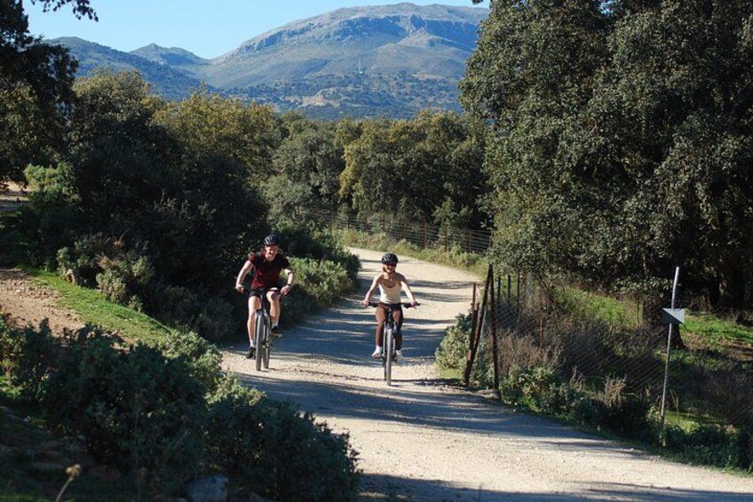 Self Guided Cycling Adventure from Ronda to Setenil 4