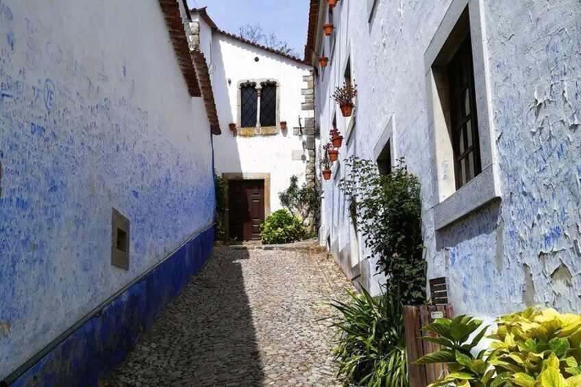 Une ruelle étroite pavée de pierres, bordée de bâtiments blancs aux ornements bleus et agrémentée de plantes en pot. 3