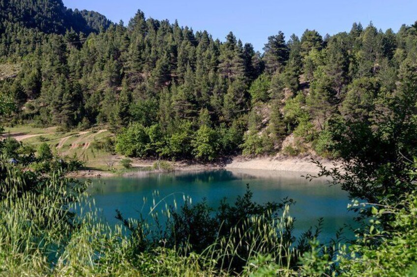 A lake surrounded by dense forest and a dirt path. 1