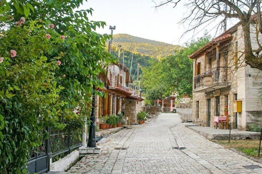 A cobblestone street lined with traditional stone buildings, a tree with pink flowers, and a mountain in the background. 5