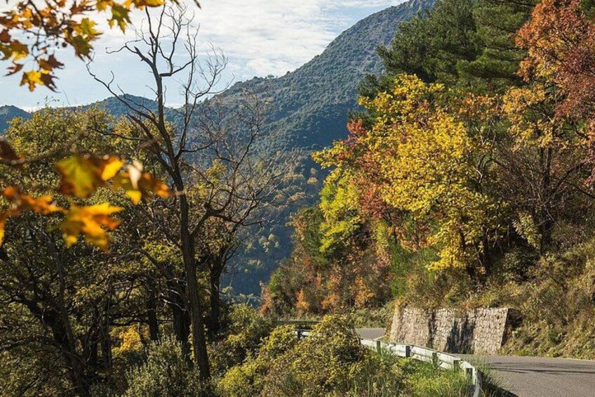 A mountainous landscape with autumn foliage, a winding road, and a stone wall. 2