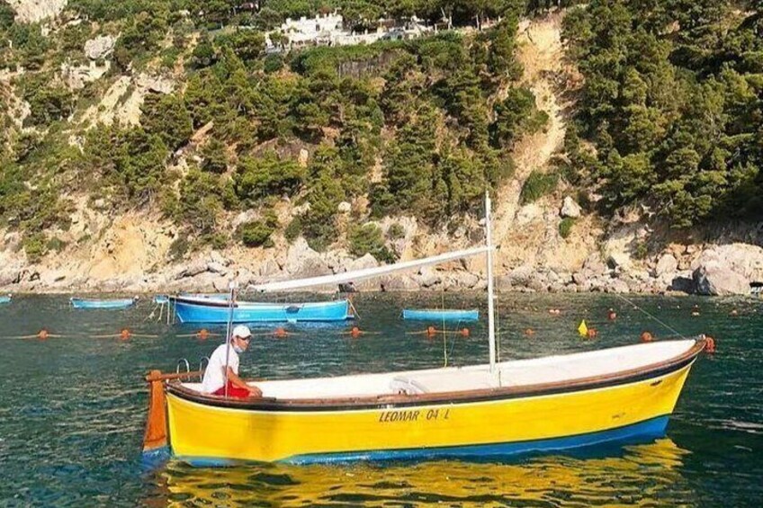 Private Gozzo Boat Tour of Capri with Exclusive Skipper and Bath Stops 4