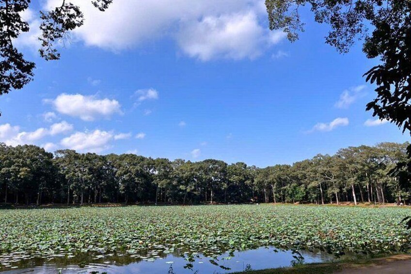 Un lac entouré d’arbres, sous un ciel dégagé. 4