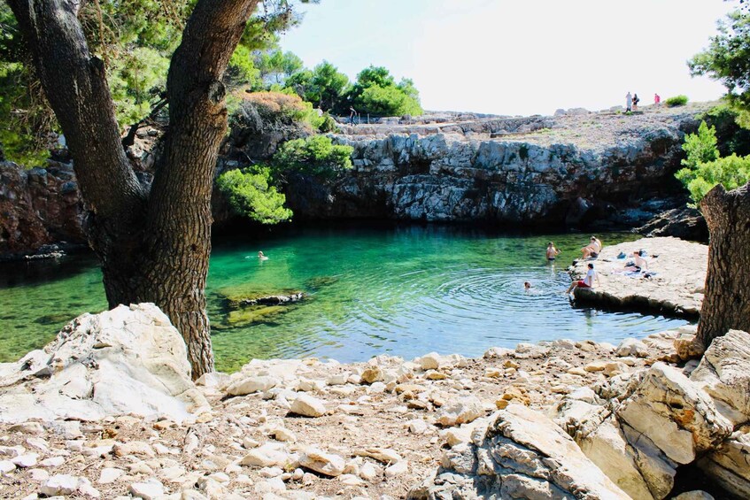 Picture 5 for Activity Mlini: Blue Cave & Lokrum Island Best of the Best 2