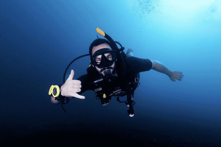 A diver underwater with a black wetsuit, yellow fins, and a black mask. 4