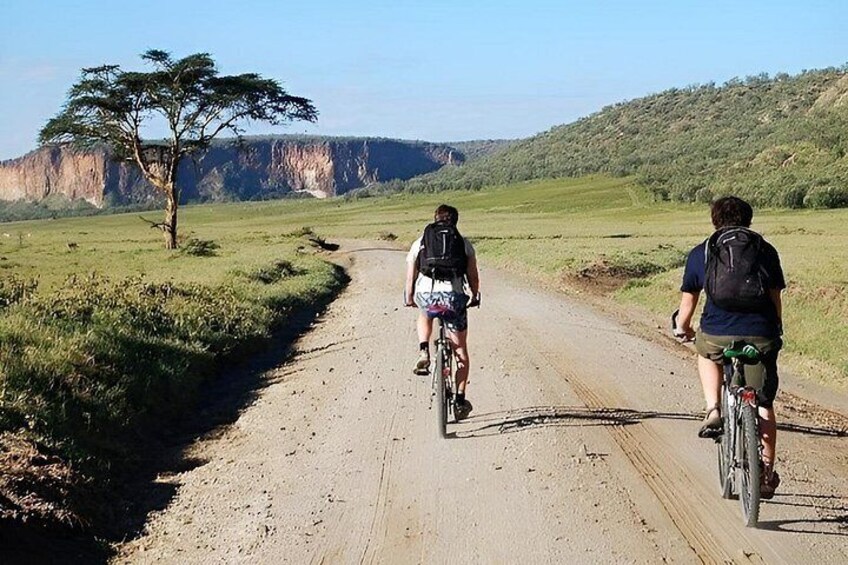 Dos ciclistas en un camino de tierra con un árbol y un acantilado al fondo. 4