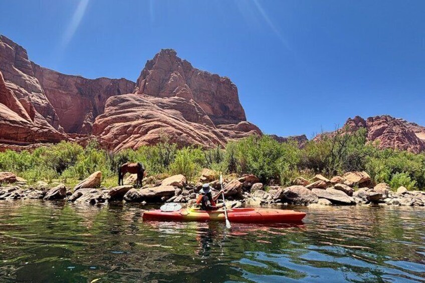 Guided Horseshoe Bend Petroglyph Kayak Tour 4