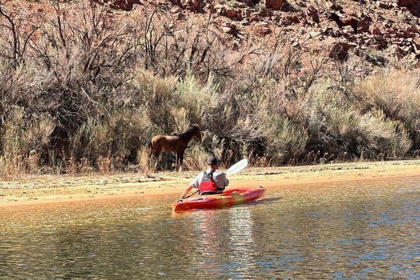 Guided Horseshoe Bend Petroglyph Kayak Tour 2