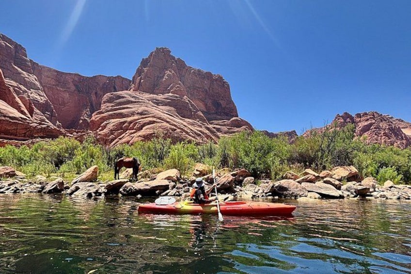 Guided Horseshoe Bend Petroglyph Kayak Tour 4