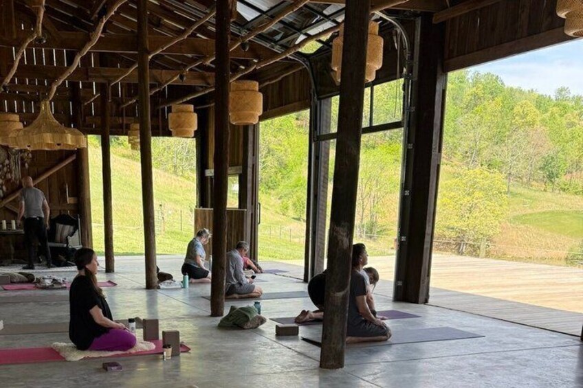 Yoga Among the Horses 2