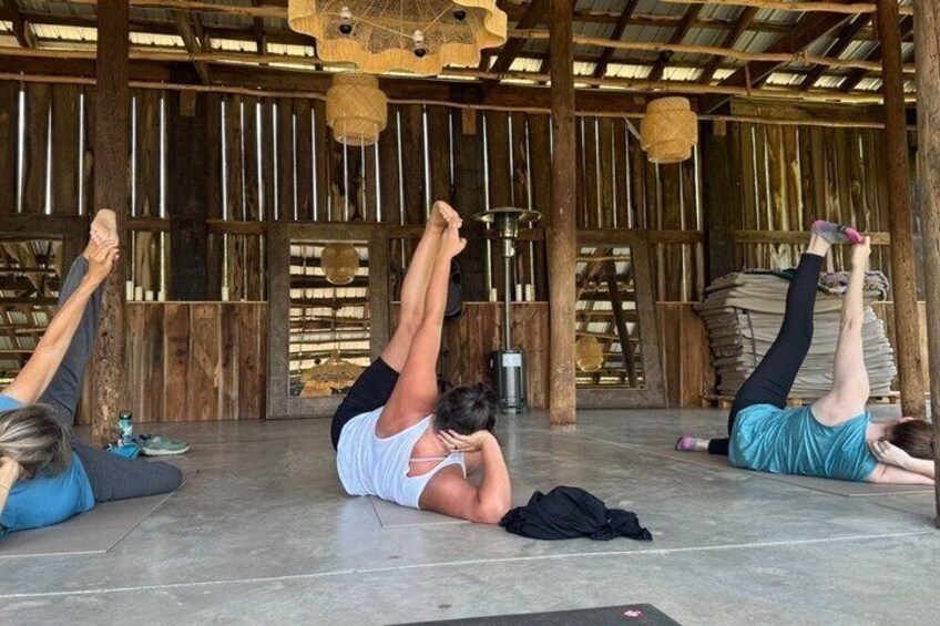 Yoga Among the Horses 3