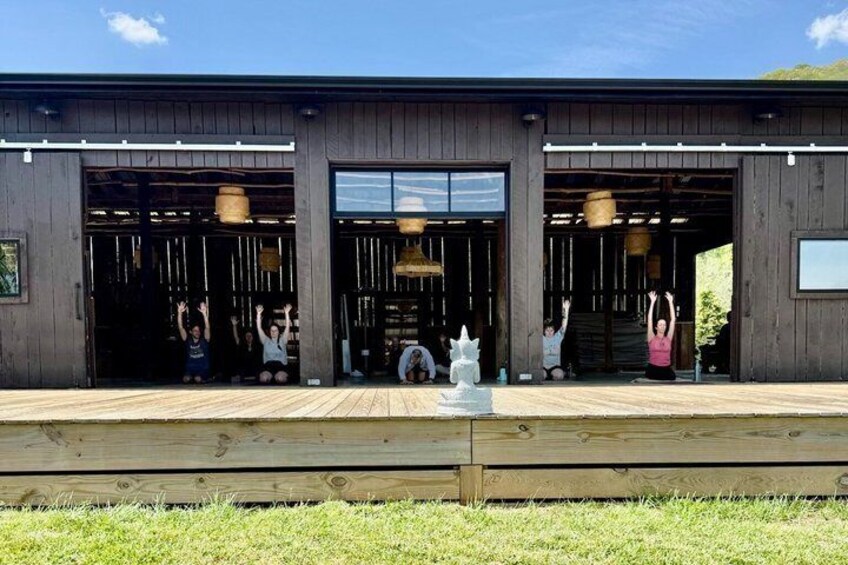 Yoga Among the Horses 5