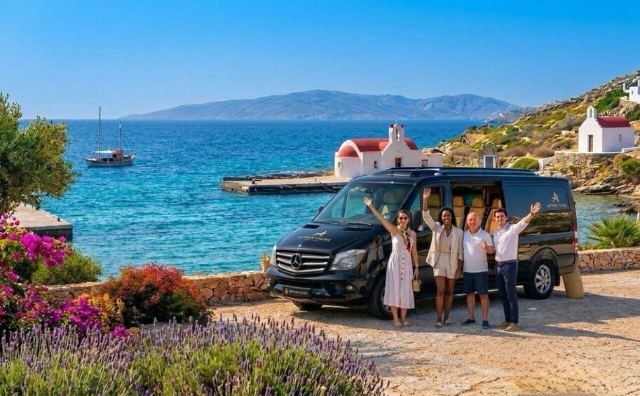 Mykonos Highlights: Private Tour for Hotel & Cruise Pickup 1