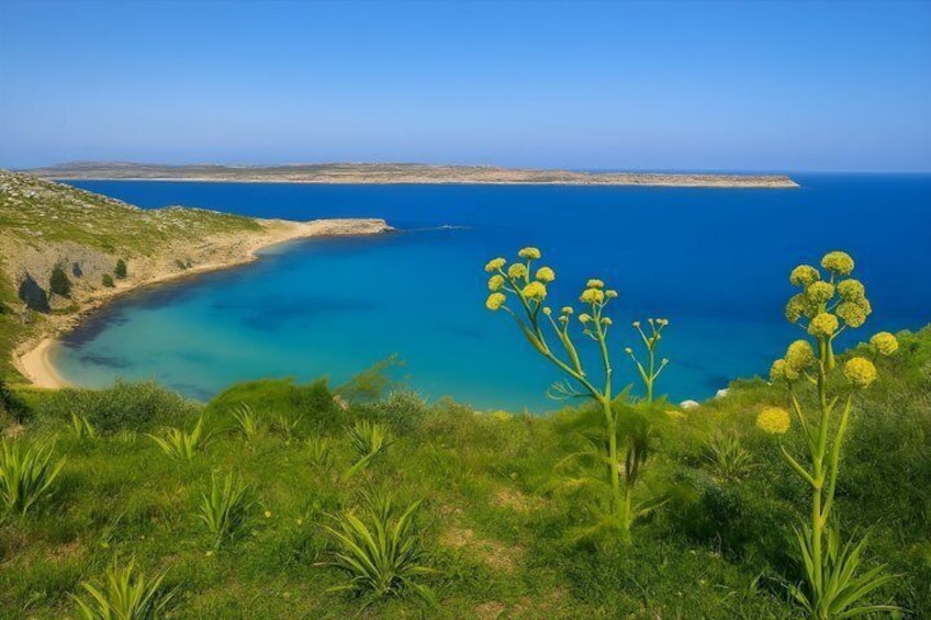 A coastal landscape with a clear blue sea, grassy hills, and yellow flowers in the foreground. 4
