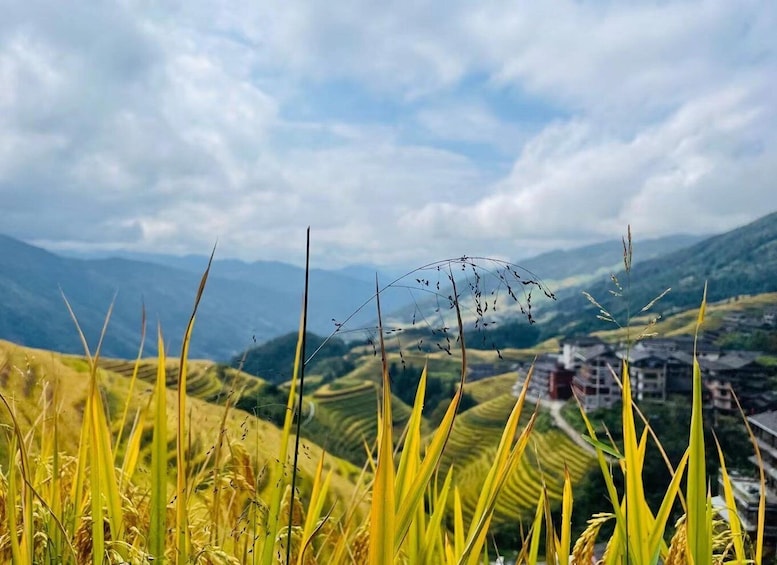A landscape with rice fields, a distant village, and mountains under a cloudy sky. 5