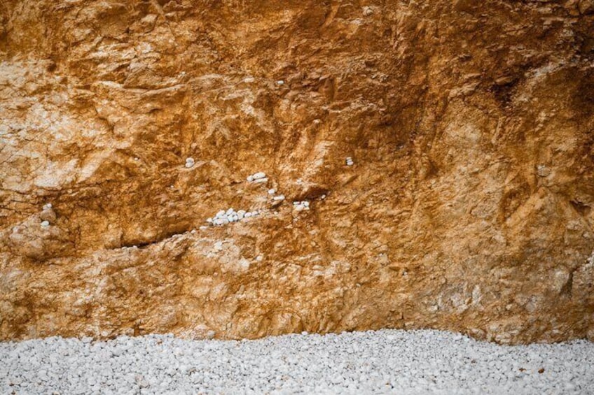 A textured rock surface with a rough texture and small white specks. 4