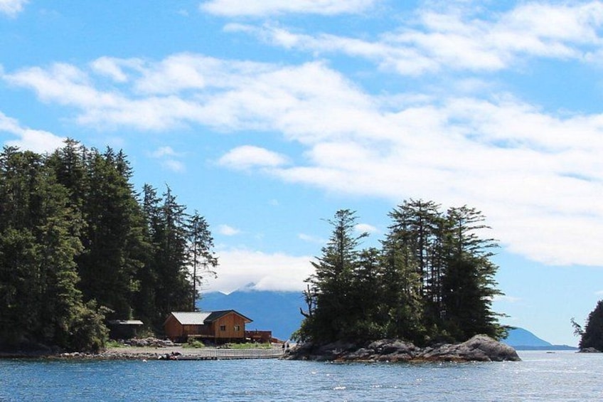 A wooden cabin on a small island surrounded by dense forest and a calm lake. 1